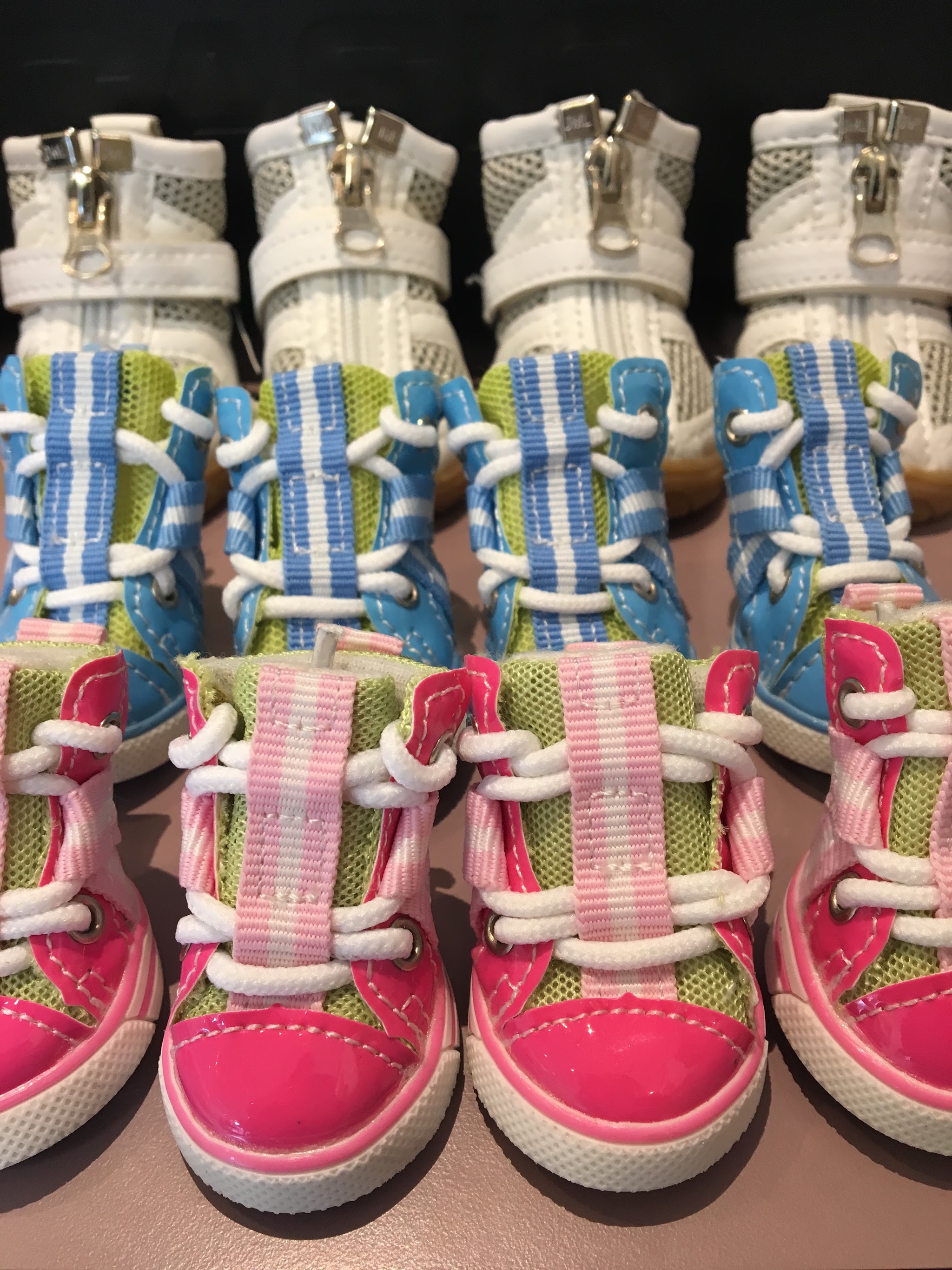 Rijen hondenschoentjes in roze, blauw en wit